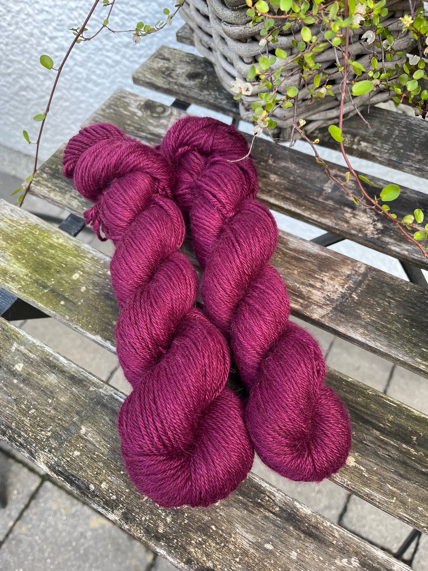 EVANGÉLINE DK "Burgunder"
