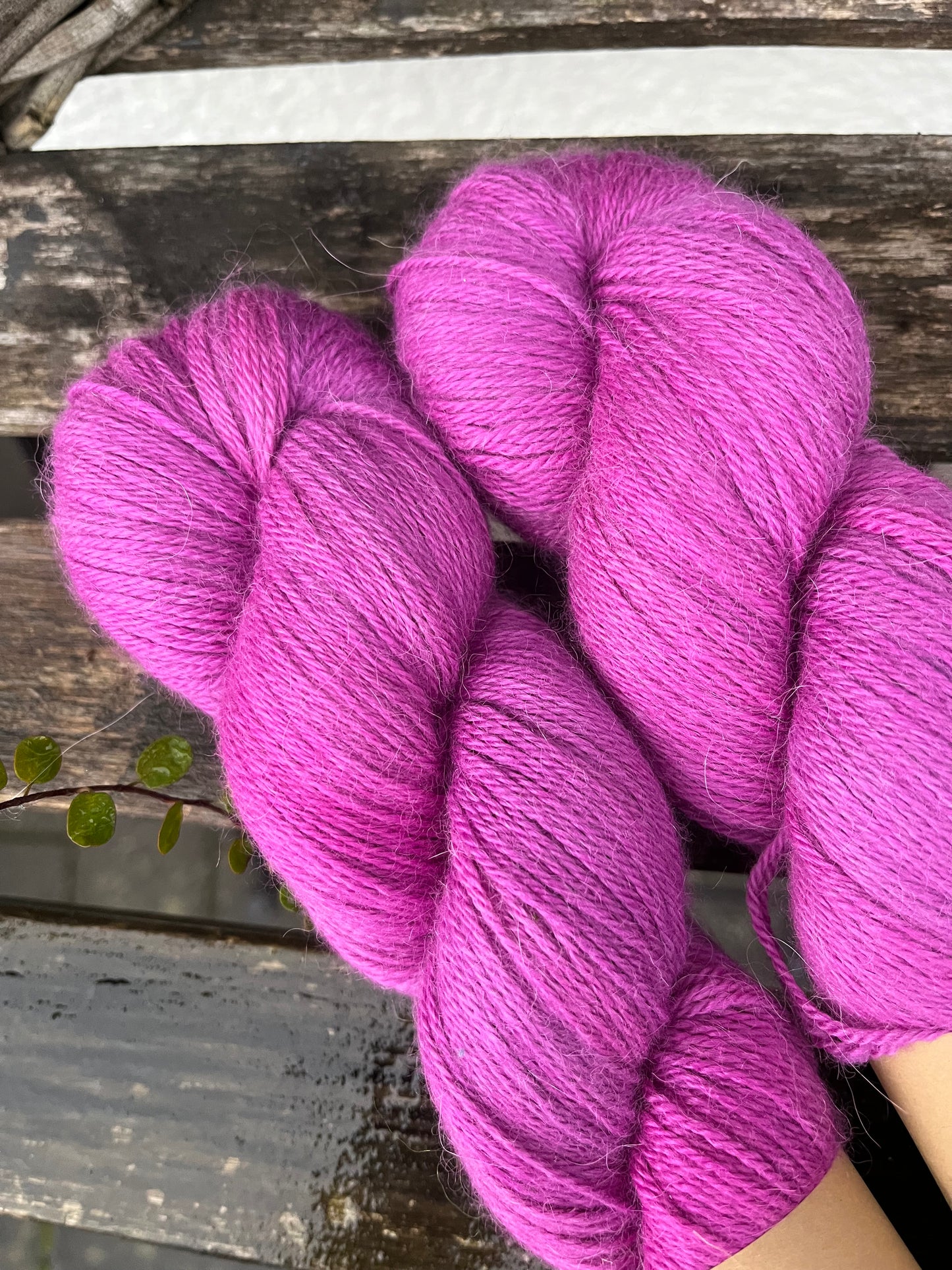 EVANGÉLINE 4ply "Beere"