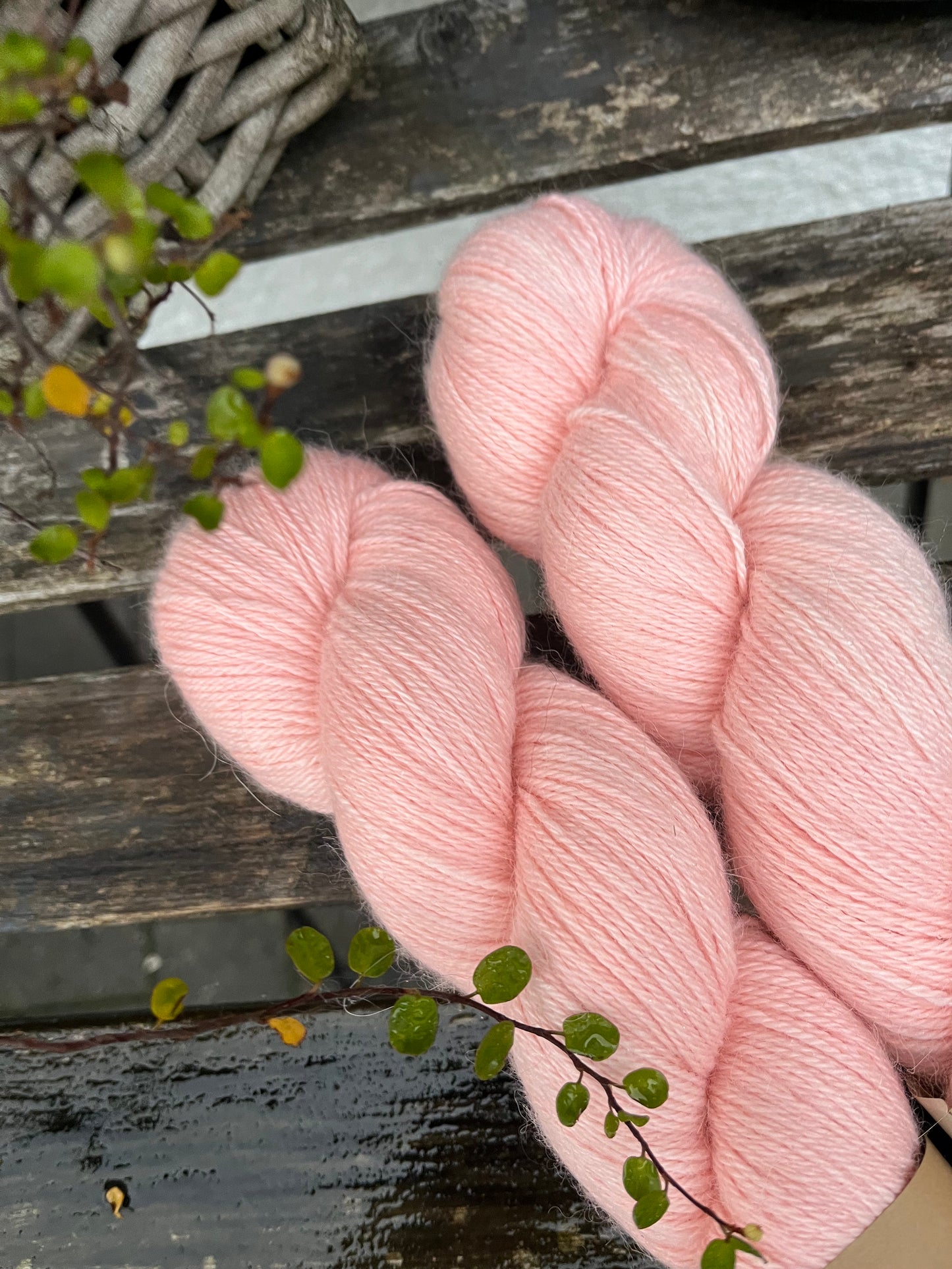 EVANGÉLINE 4ply "englische Rose"