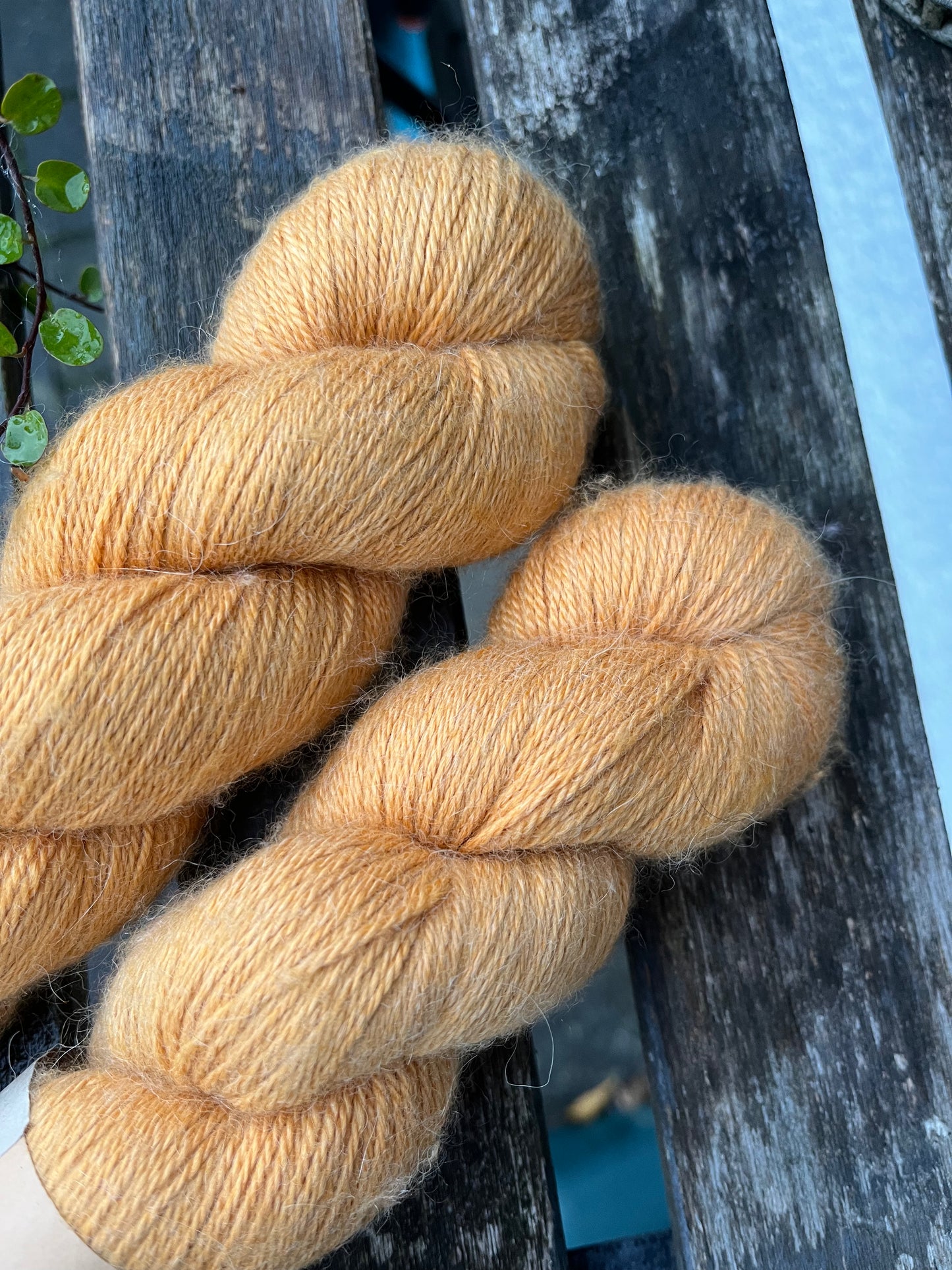 EVANGÉLINE 4ply "Kurkuma"
